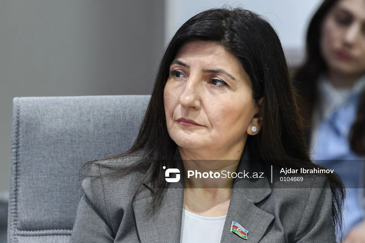 Deputat: "Media resurslarına edilən hücumlar, əsasən, siyasi motivlidir"